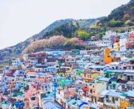 basketball games in Busan