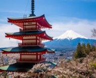 0 basketball games in Yamanashi