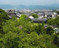 0 basketball games in Yamatokoriyama