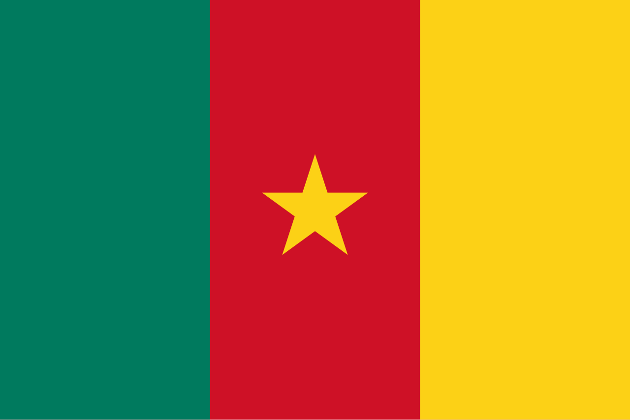 There are 0 basketball games in Cameroon