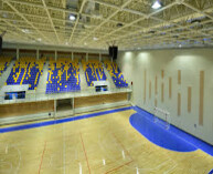 Sala Sporturilor Dumitru Popescu Colibasi