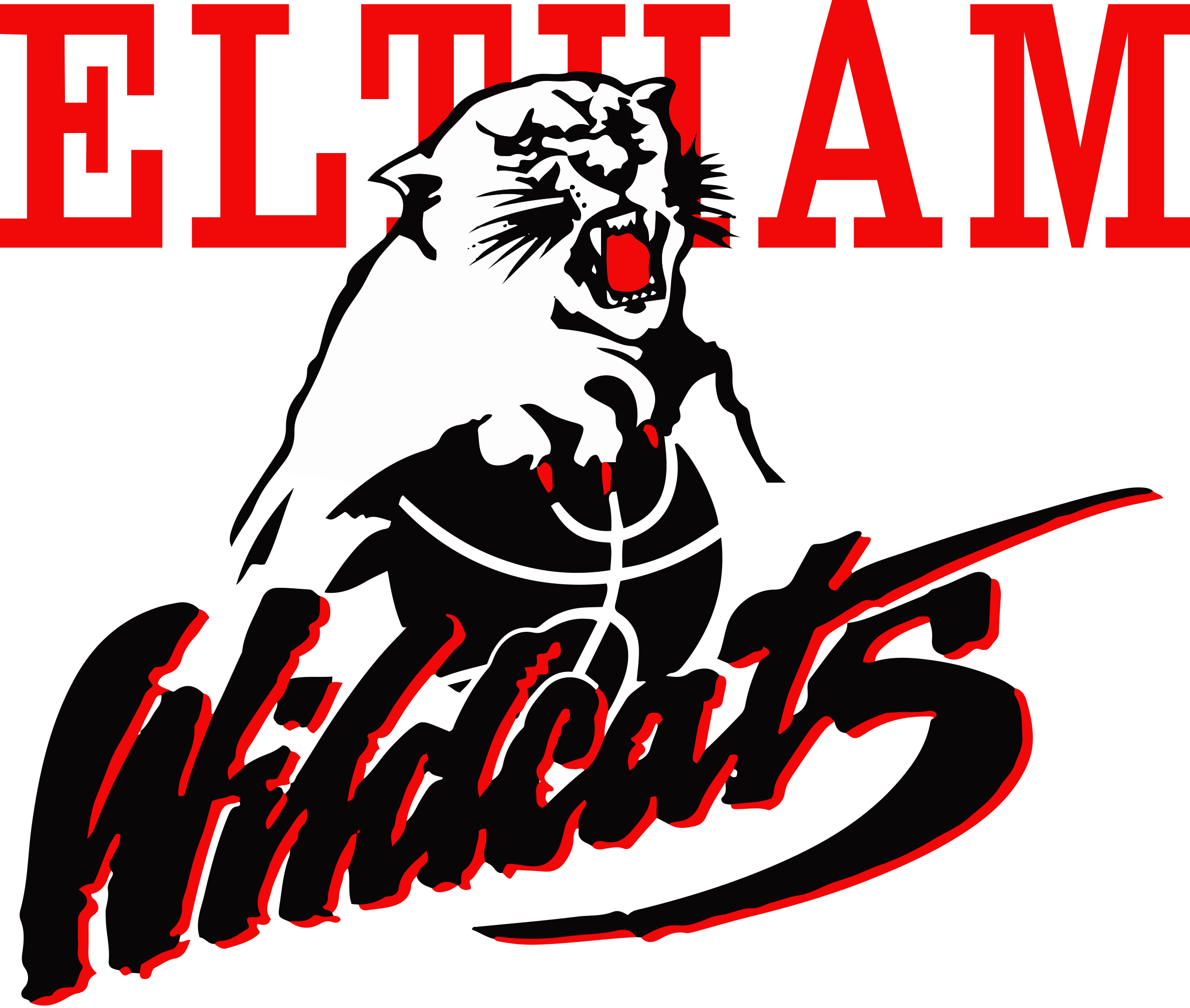 Eltham Wildcats