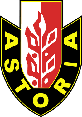 Team Astoria Bydgoszcz has 20 games