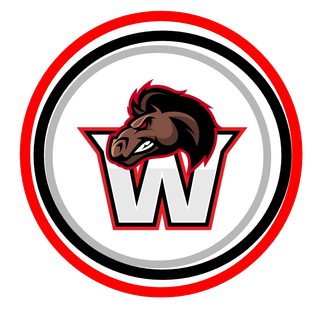 Team Basket Waregem has 20 games