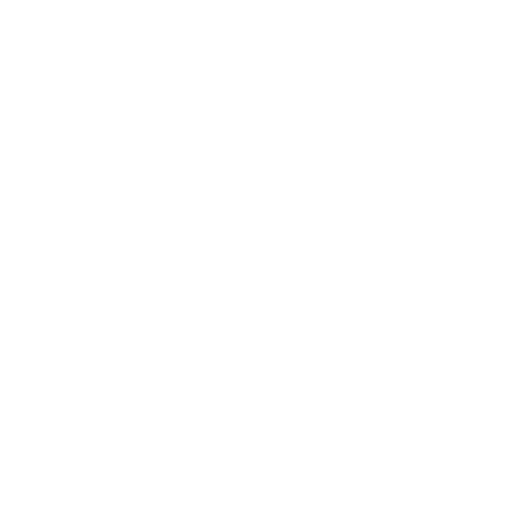 Basquet Sant Antoni