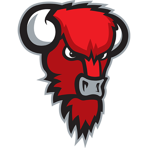 Bisons Loimaa