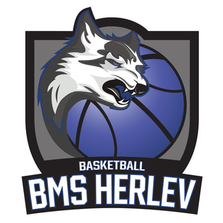 Team BMS Herlev Wolfpack has 28 games