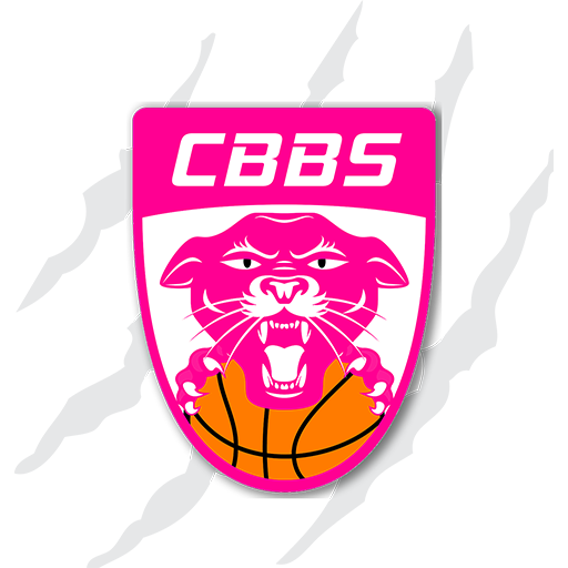 Team Charnay Basket Bourgogne Sud has 0 games