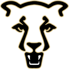 Colorado Springs Mountain Lions