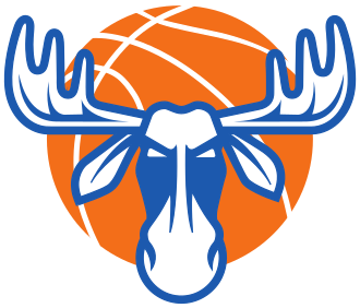 Team Jamtland Basket has 32 games