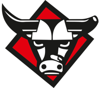Team KK Gorica has 0 games