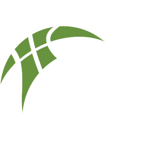 Team SBS Ostrava has 10 games