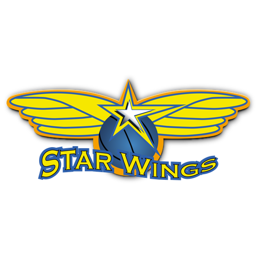Starwings Basket