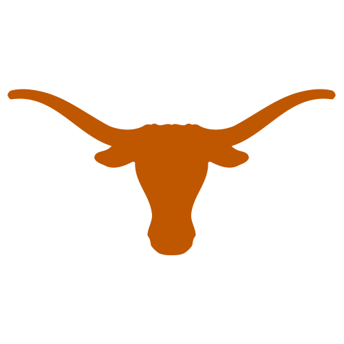 Texas Longhor