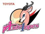 Toyota Antelopes