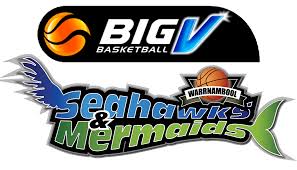 Team Warrnambool Mermaids has 0 games