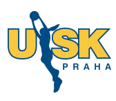 Team ZVVZ USK Prague has 22 games