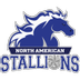 The North American University Stallions team plays in 3 games this season
