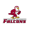 The Friends University Falcons team plays in 0 games this season