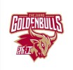 The Zhejiang Golden Bulls team plays in 0 games this season