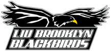 The LIU Brooklyn Blackbirds team plays in 0 games this season