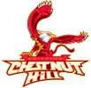 The Chestnut Hill team plays in 0 games this season