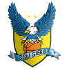 The BC CSU Sibiu team plays in 0 games this season