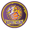 The Hapoel Holon team plays in 0 games this season