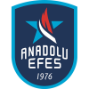 Anadolu Efes SK