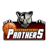 Furstenfeld Panthers