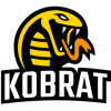 The Kobrat team plays in 0 games this season