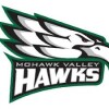 The Mohawk Valley team plays in 0 games this season