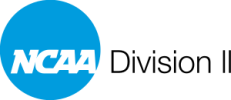   NCAA Division II National Championship tournament